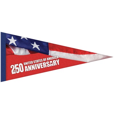8" x 18" Digitally Printed Single Sided Custom Felt Pennant